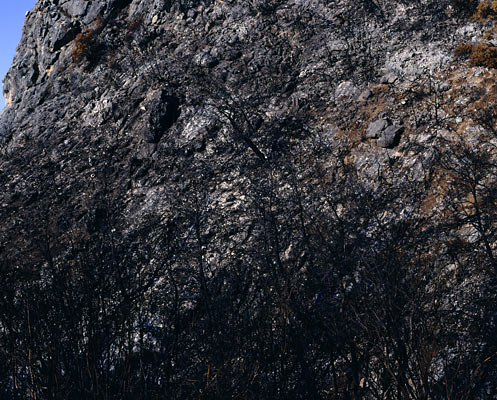 Kaifa/ Peloponnes, Greece, 2007, from the series The Ionian Road