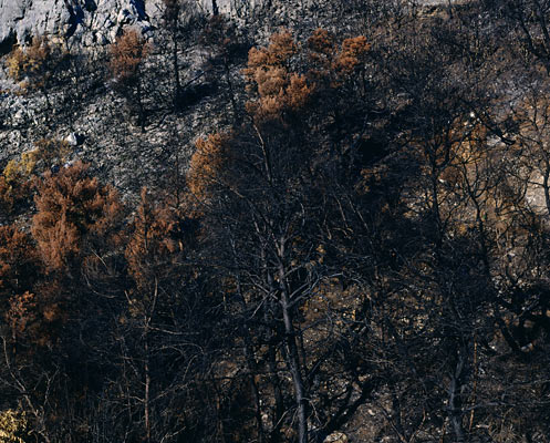 Kaifa/ Peloponnes, Greece, 2007, from the series The Ionian Road