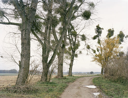 from the series: Die Mark, Germany, work in progress