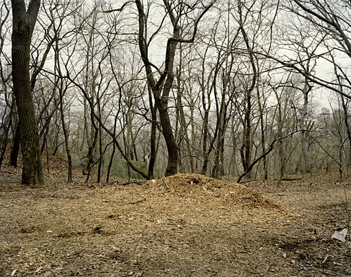 Neighborhoods, New York, 2007-2009