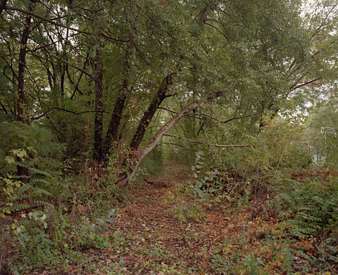 from the series: Topographie des Terrors, Berlin, 2009