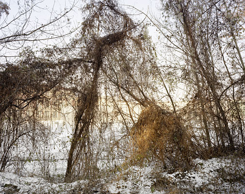 from the series: Topographie des Terrors, Berlin, 2009