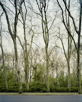 Puschkinallee, Berlin, 2008