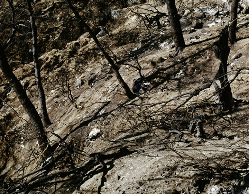 The Ionian Road I, Peloponnes, Greece 2007