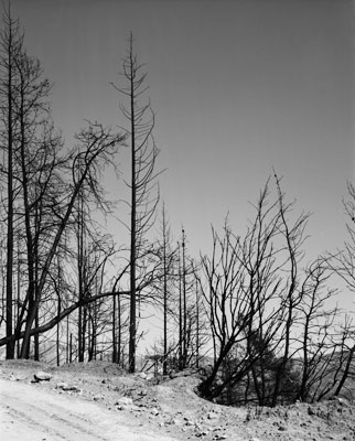 The Ionian Road I, Peloponnes, Greece 2007