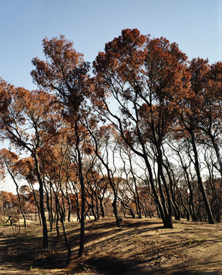 The Ionian Road I, Peloponnes, Greece 2007
