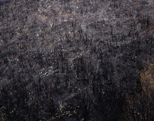 The Ionian Road II, Peloponnes, Greece 2007