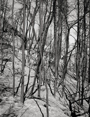 The Ionian Road II, Peloponnes, Greece 2007