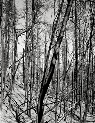 The Ionian Road II, Peloponnes, Greece 2007