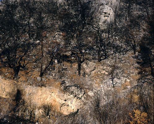 The Ionian Road II, Peloponnes, Greece 2007