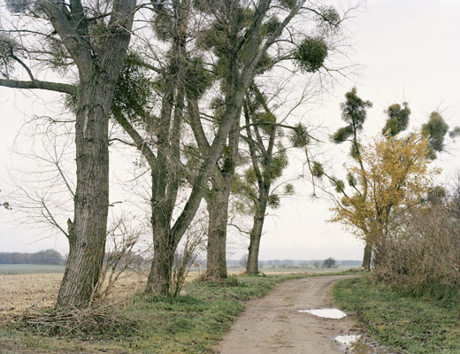 Brandenburg I, 2009–2015