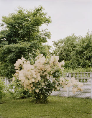 Brandenburg II, 2009–2015