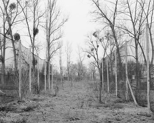 Brandenburg III, 2009–2015