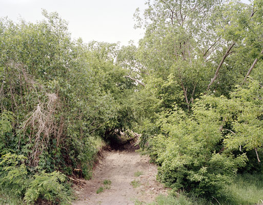 Brandenburg III, 2009–2015