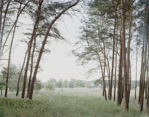 Brandenburg III, 2009–2015