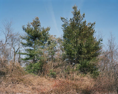 Neighborhood Conversations III, New York, 2007–2016, work in progress