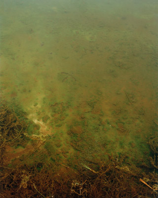 The cycle SEE II, Lausitz, Germany, 2004–2013