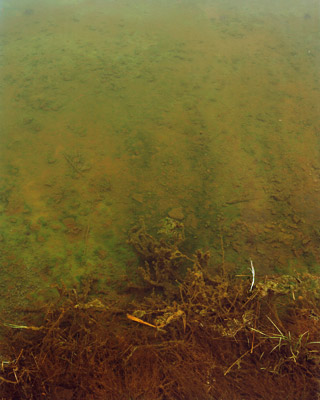 The cycle SEE II, Lausitz, Germany, 2004–2013