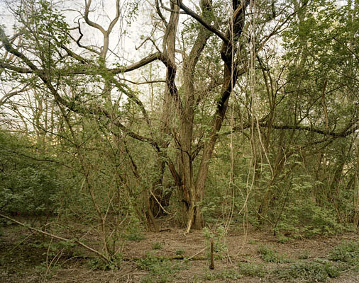 Topographie des Terrors I, Berlin, 2009